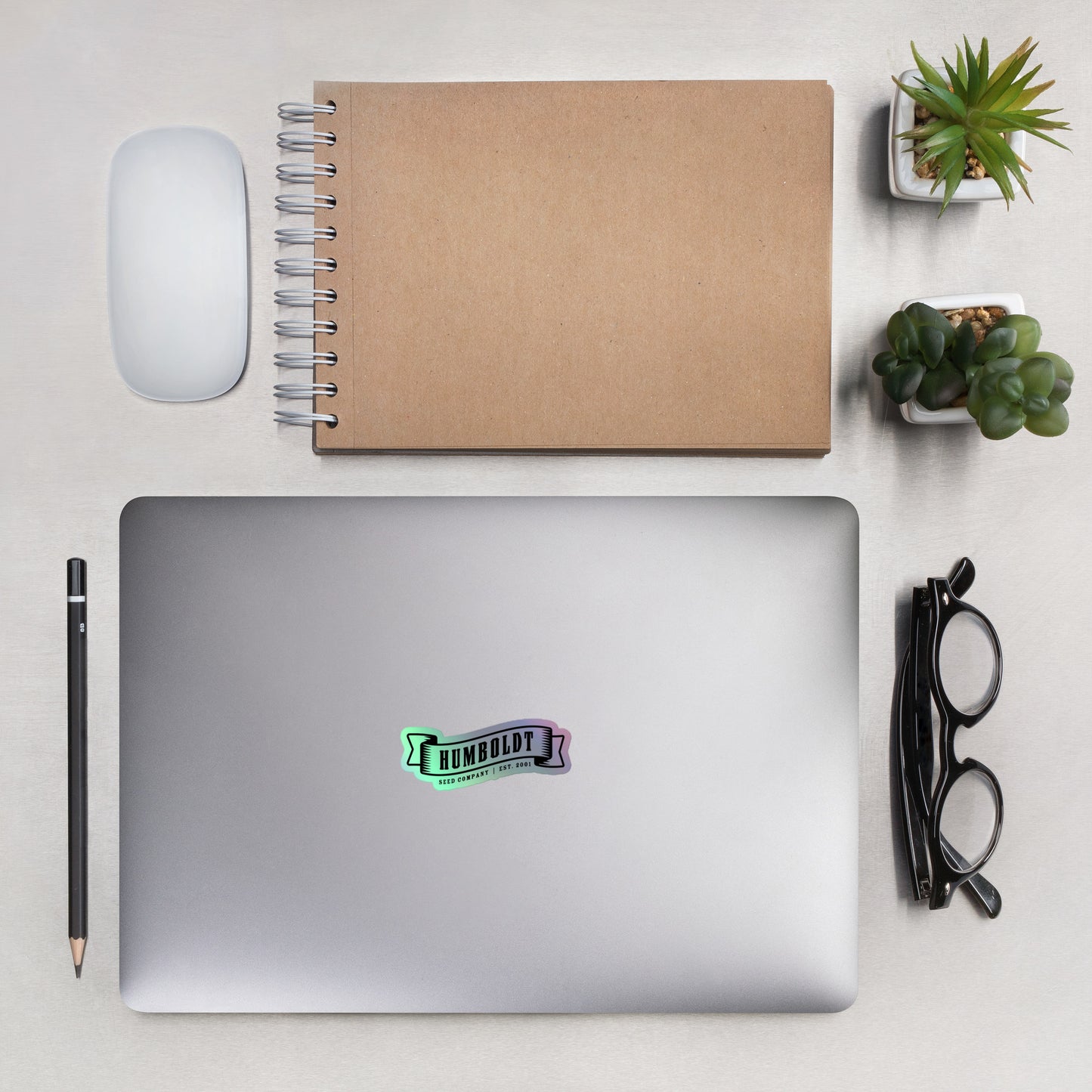 HSC Banner Logo Holographic stickers