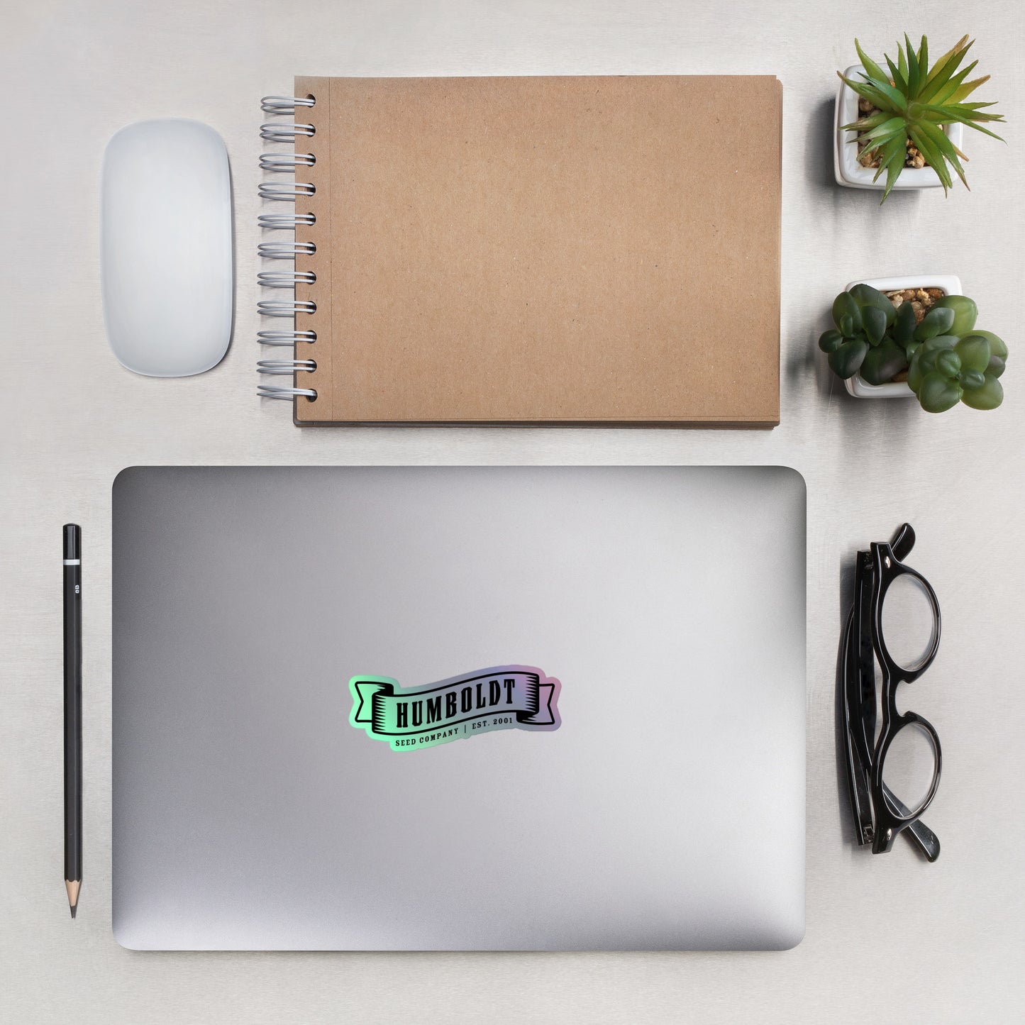 HSC Banner Logo Holographic stickers