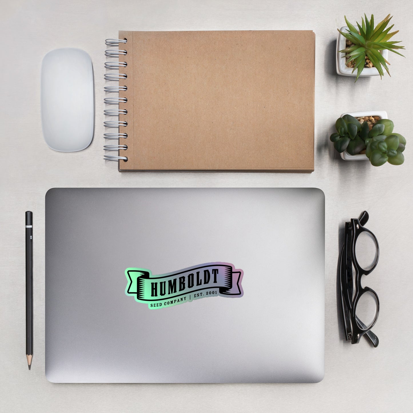 HSC Banner Logo Holographic stickers