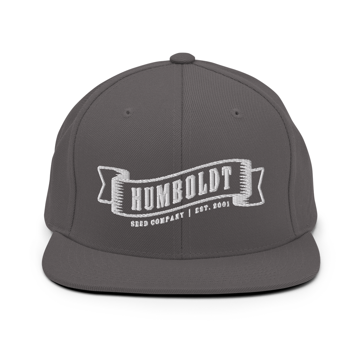Logo Snapback Hat (Embroidered)