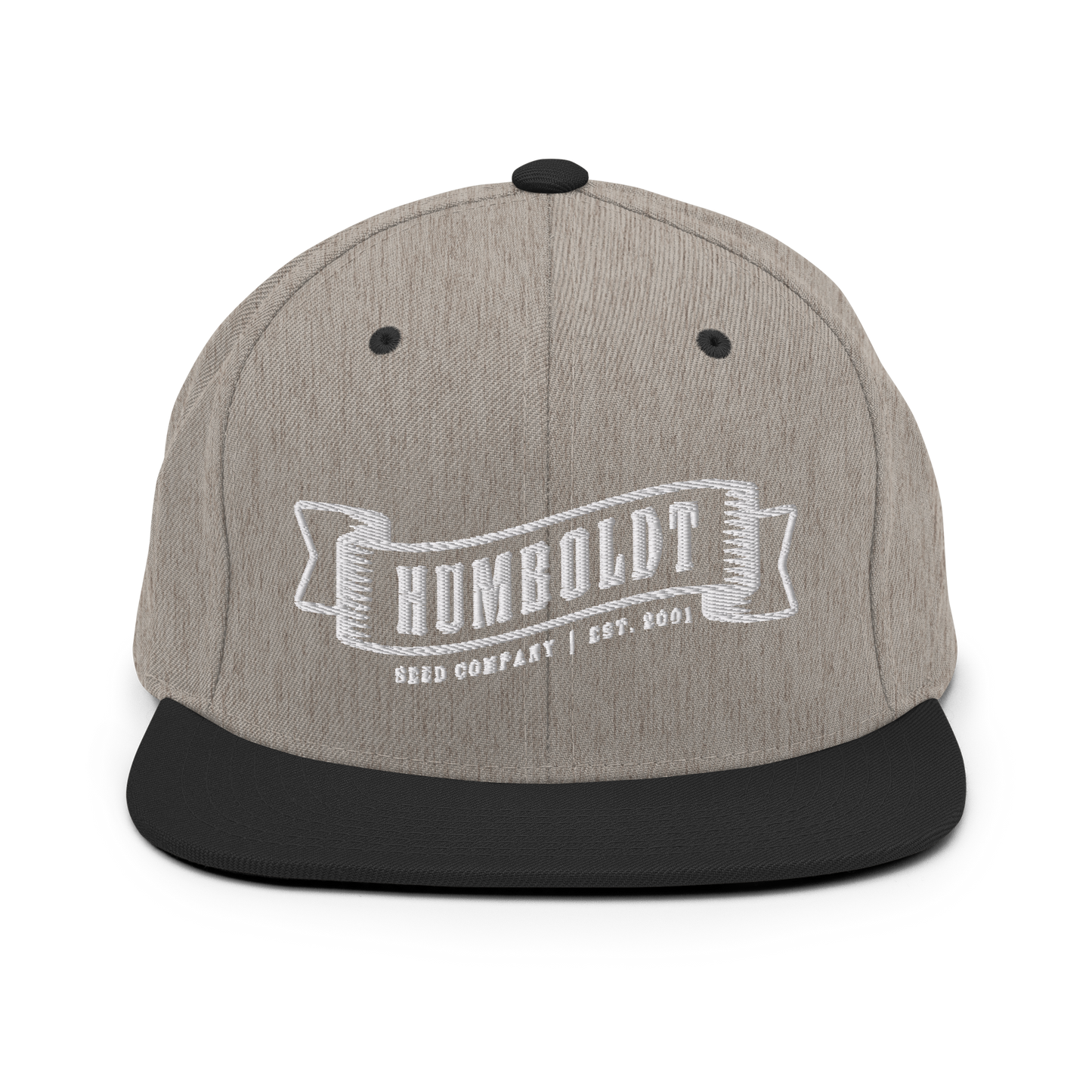 Logo Snapback Hat (Embroidered)