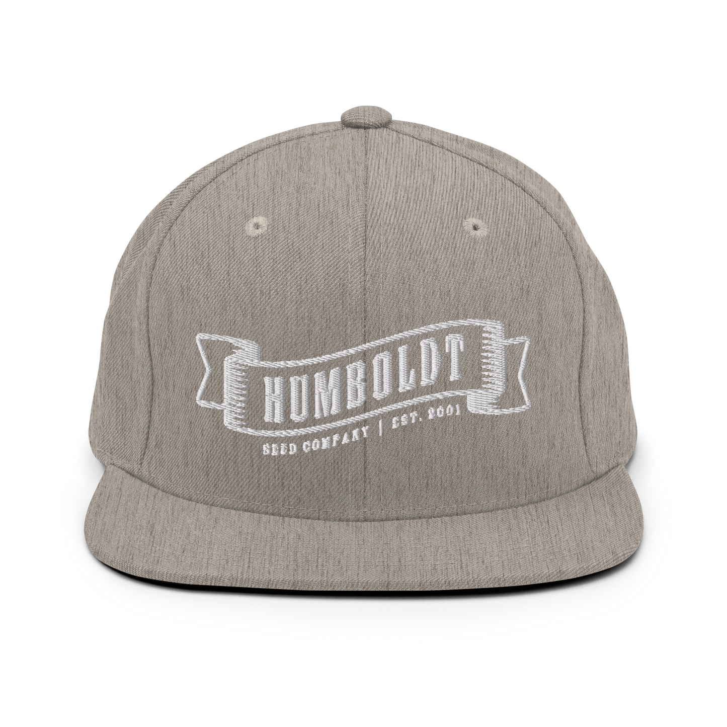 Logo Snapback Hat (Embroidered)