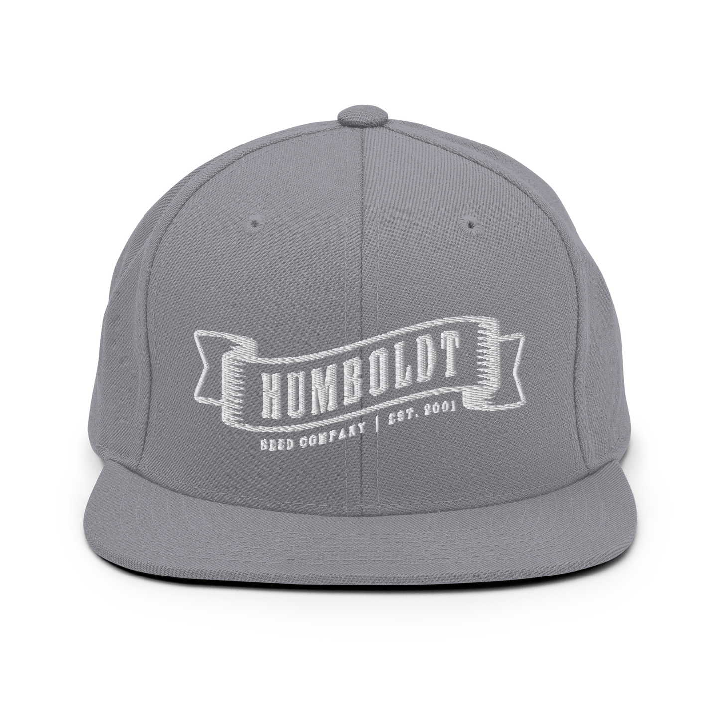 Logo Snapback Hat (Embroidered)
