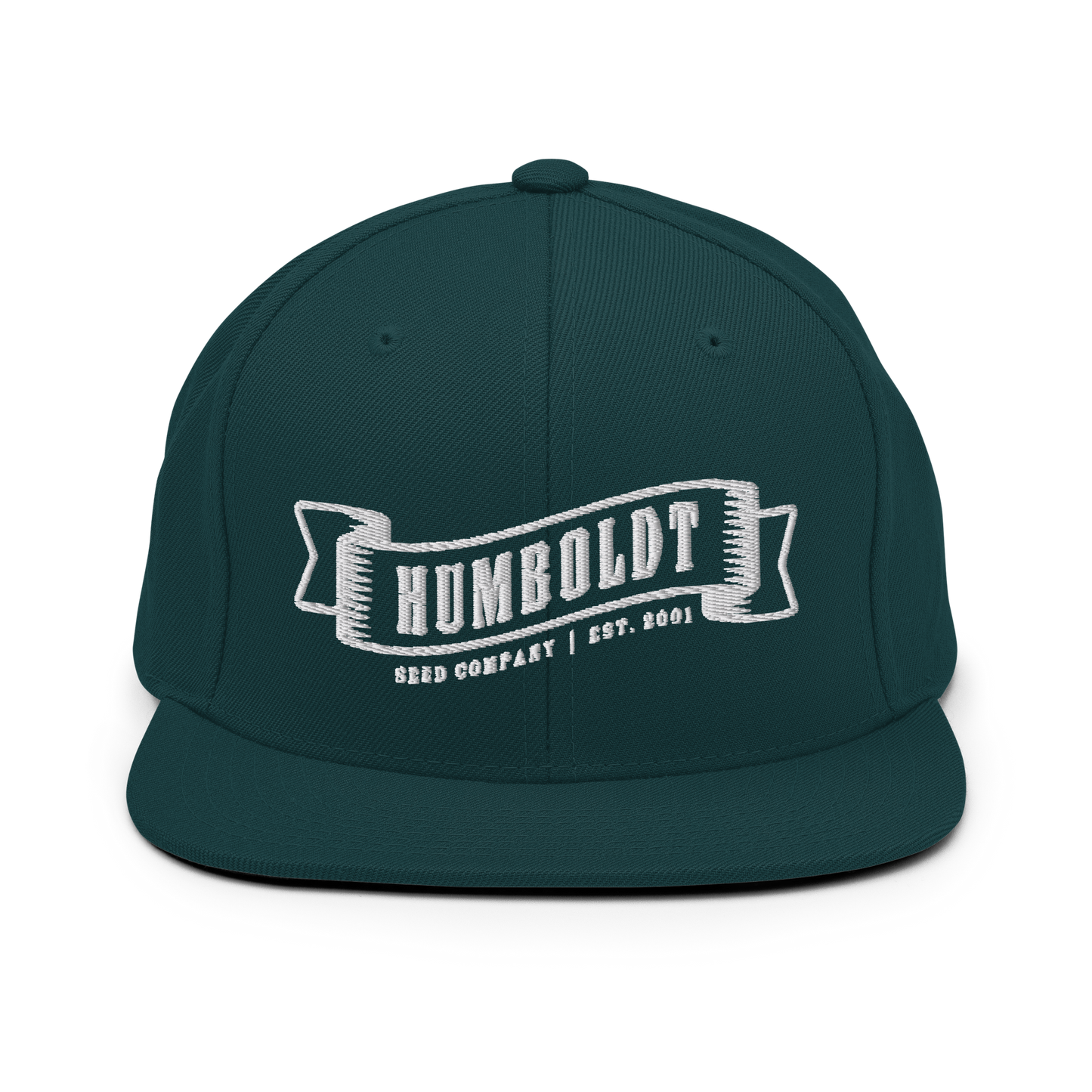 Logo Snapback Hat (Embroidered)